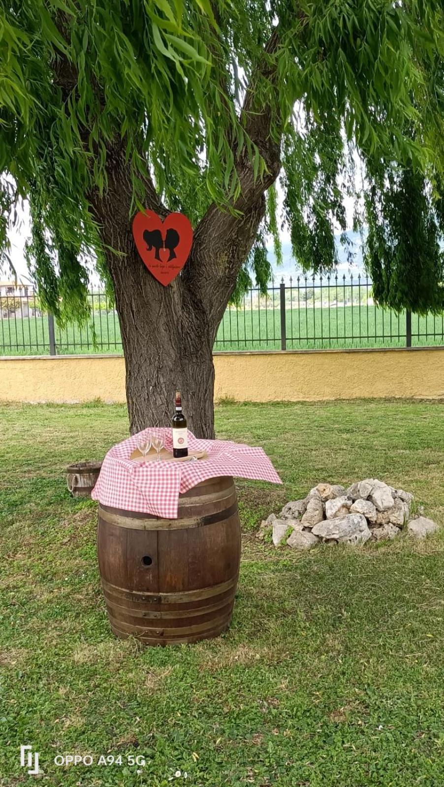La Vecchia Stalla B&B Narni Buitenkant foto