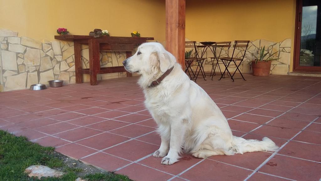 La Vecchia Stalla B&B Narni Buitenkant foto