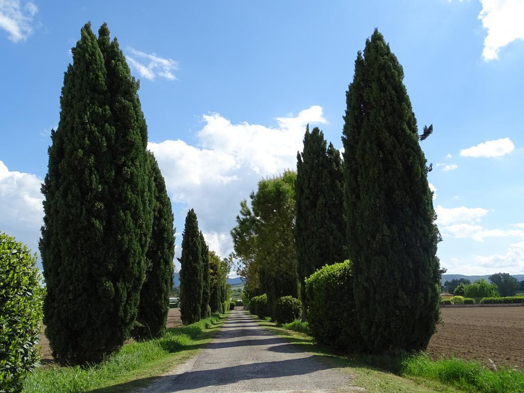 La Vecchia Stalla B&B Narni Buitenkant foto